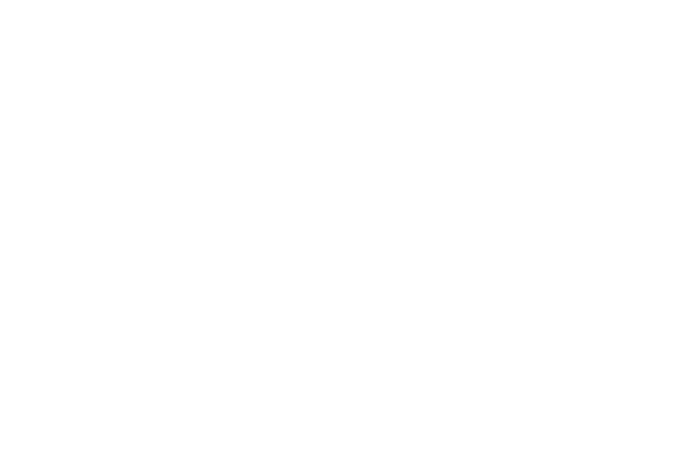 FUMI CASE